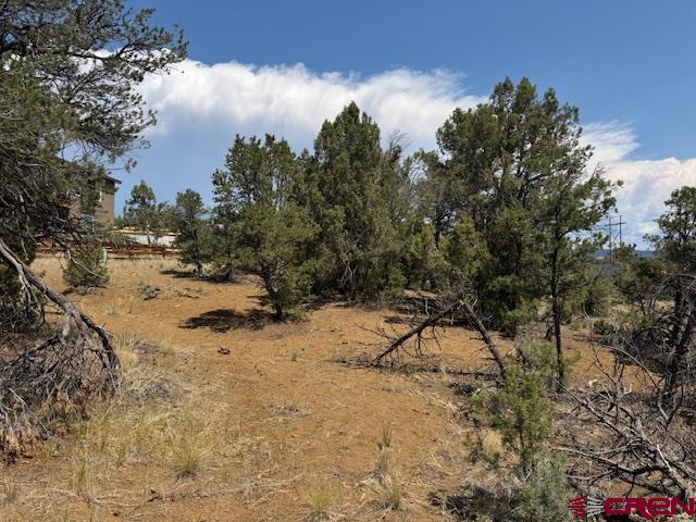 39 Salt Brush Street Durango, CO 81301 - Photo 6 of 9 a view of a yard covered in snow