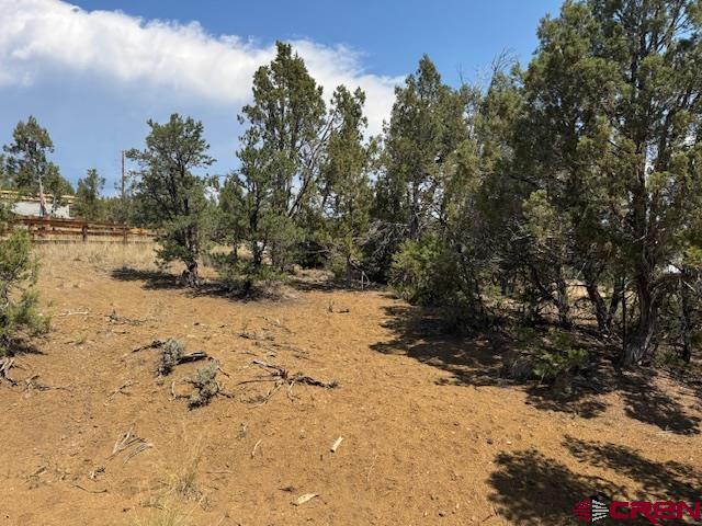 39 Salt Brush Street Durango, CO 81301 - Photo 7 of 9 a view of water covered with snow in the background