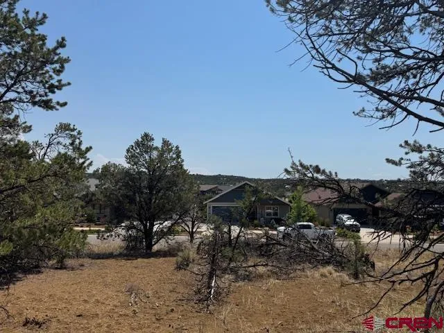 a view of a yard with a tree