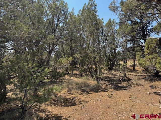 39 Salt Brush Street Durango, CO 81301 - Photo 9 of 9 a view of a yard with a tree