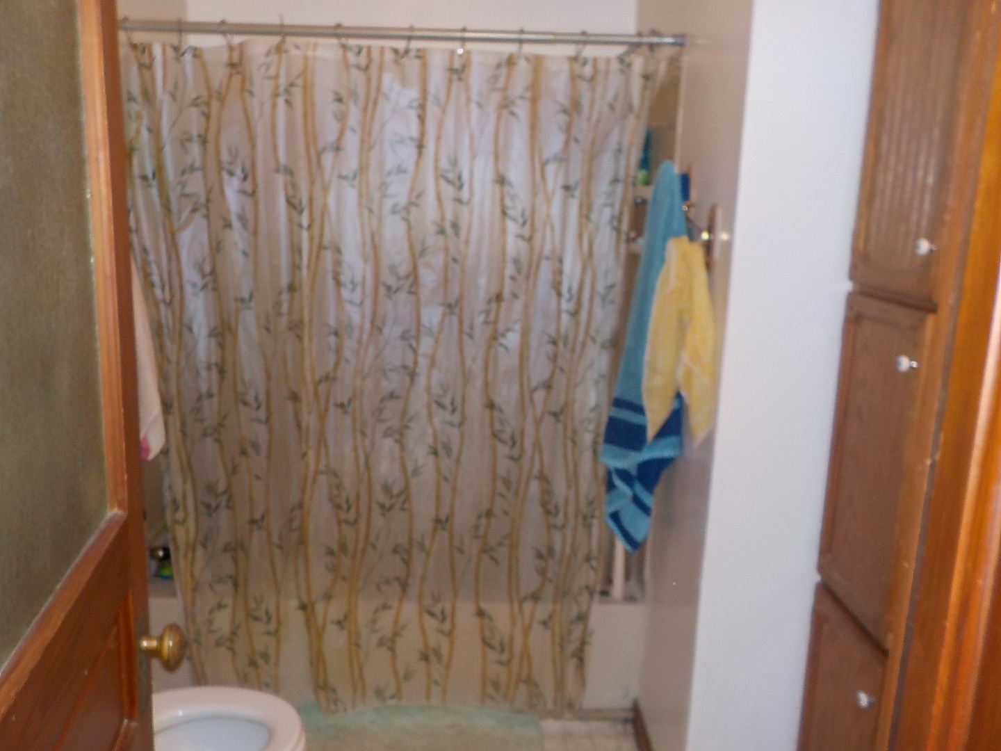 105 Main Street Kings, IL 61068 - Photo 11 of 19 a bathroom with a shower curtain and a toilet