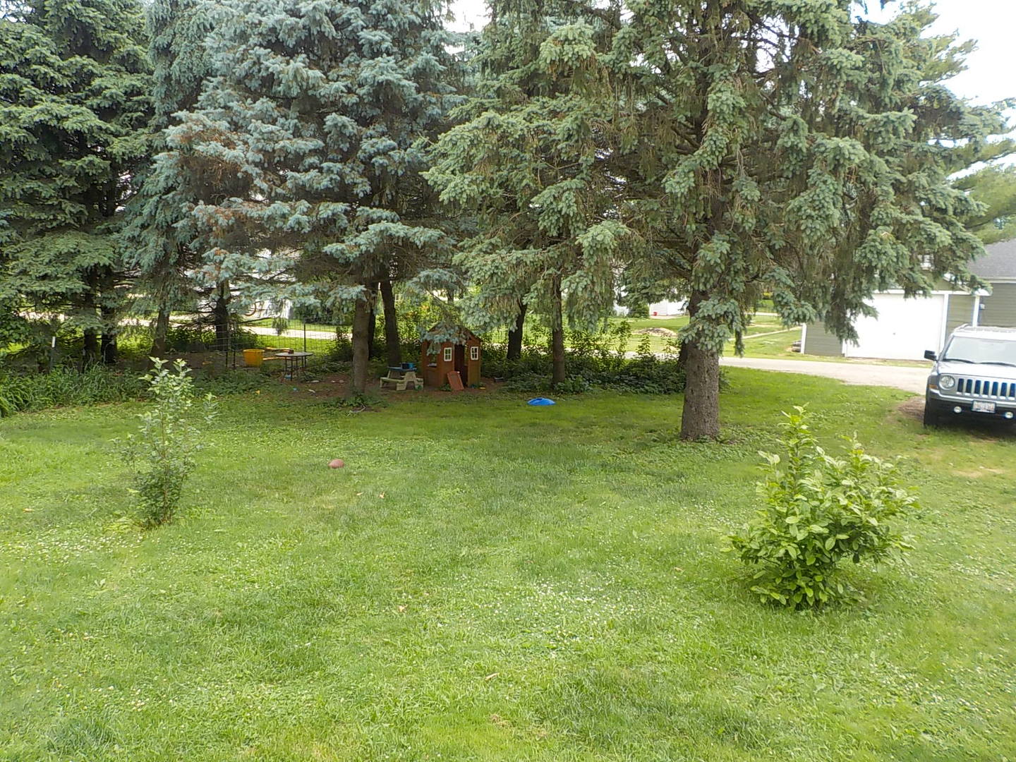 105 Main Street Kings, IL 61068 - Photo 15 of 19 a view of a garden with large trees