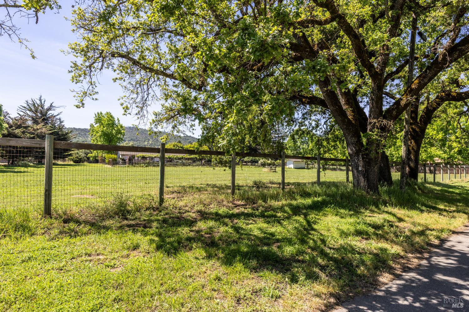 6282 Melita Road Santa Rosa, CA 95409 - Photo 50 of 55 a view of a park with large trees