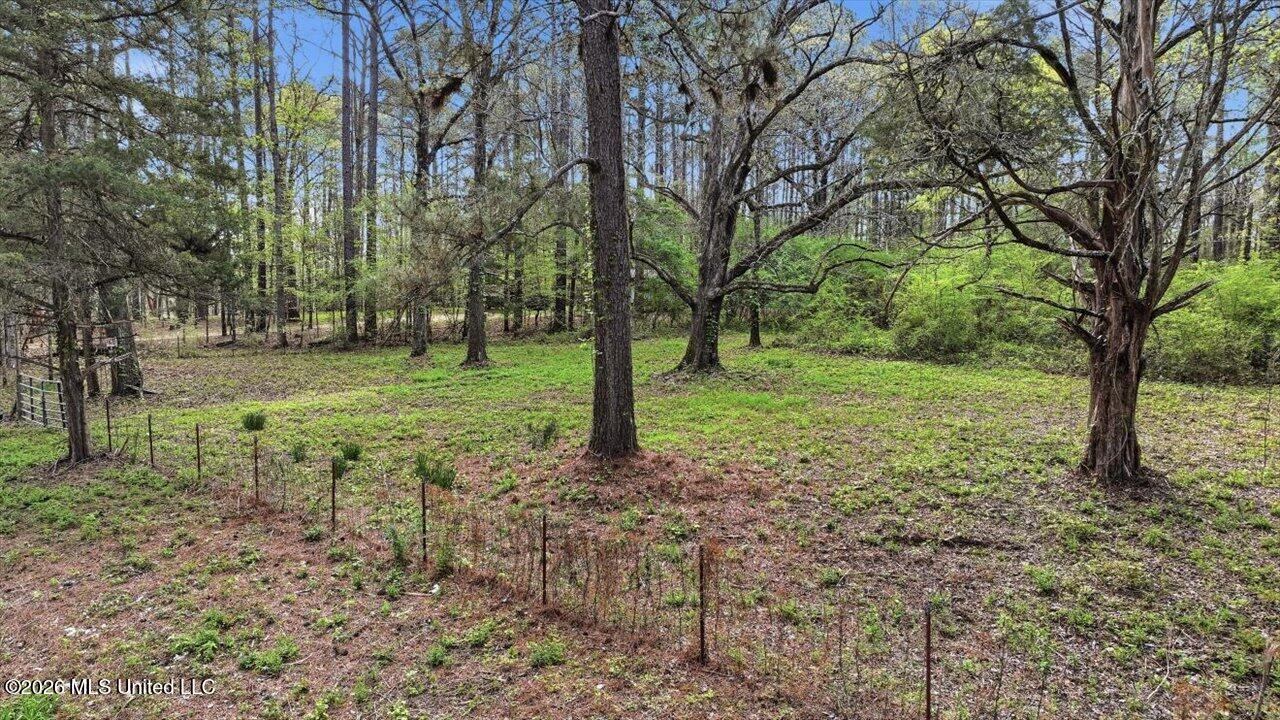 0 Harrisville Braxton Road Braxton, MS 39044 - Photo 1 of 33 32-Harrisville Braxton Rd _ Home Tours M
