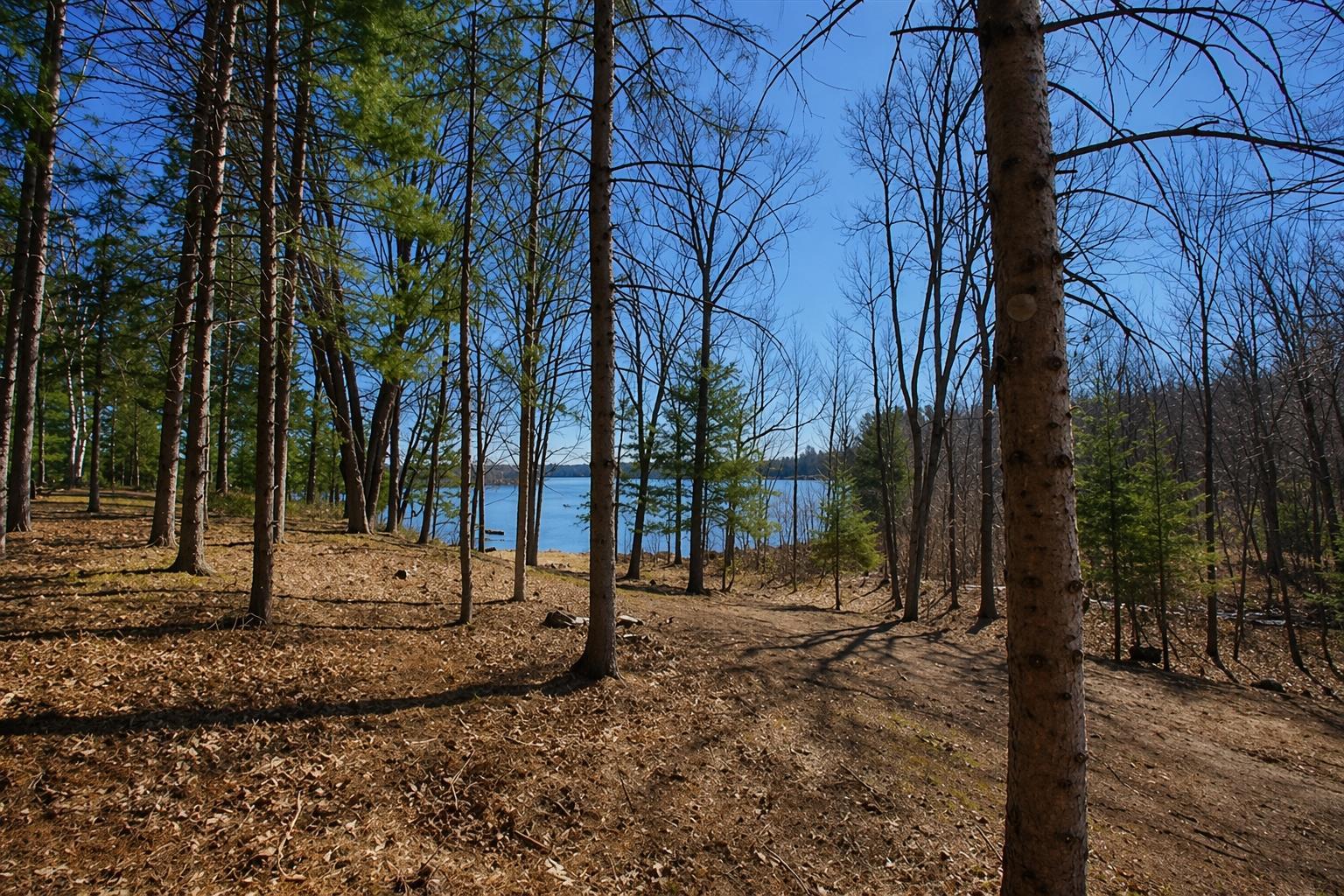 0 Ranch Road Stone Lake, WI 54876 - Photo 11 of 15