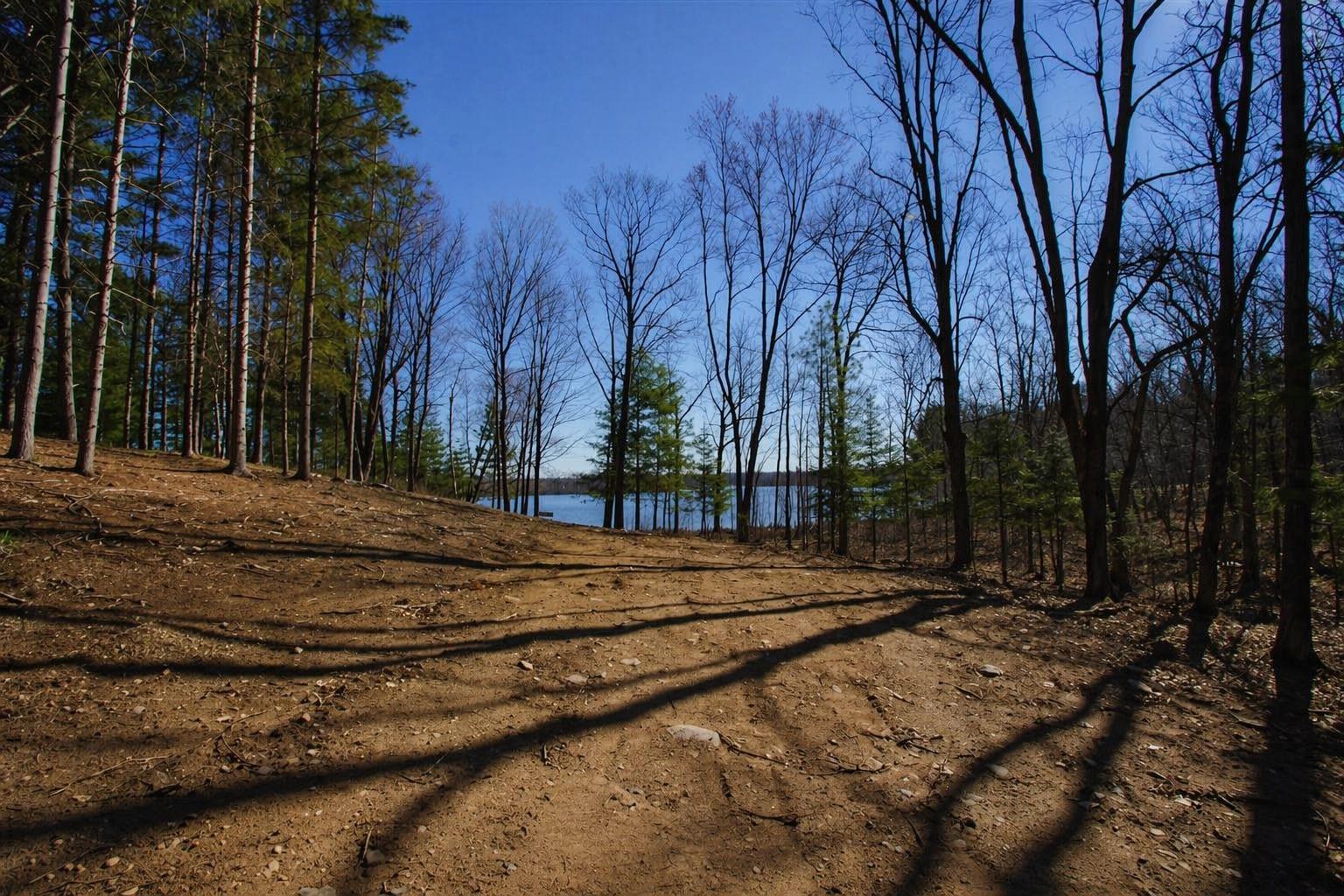 0 Ranch Road Stone Lake, WI 54876 - Photo 5 of 15