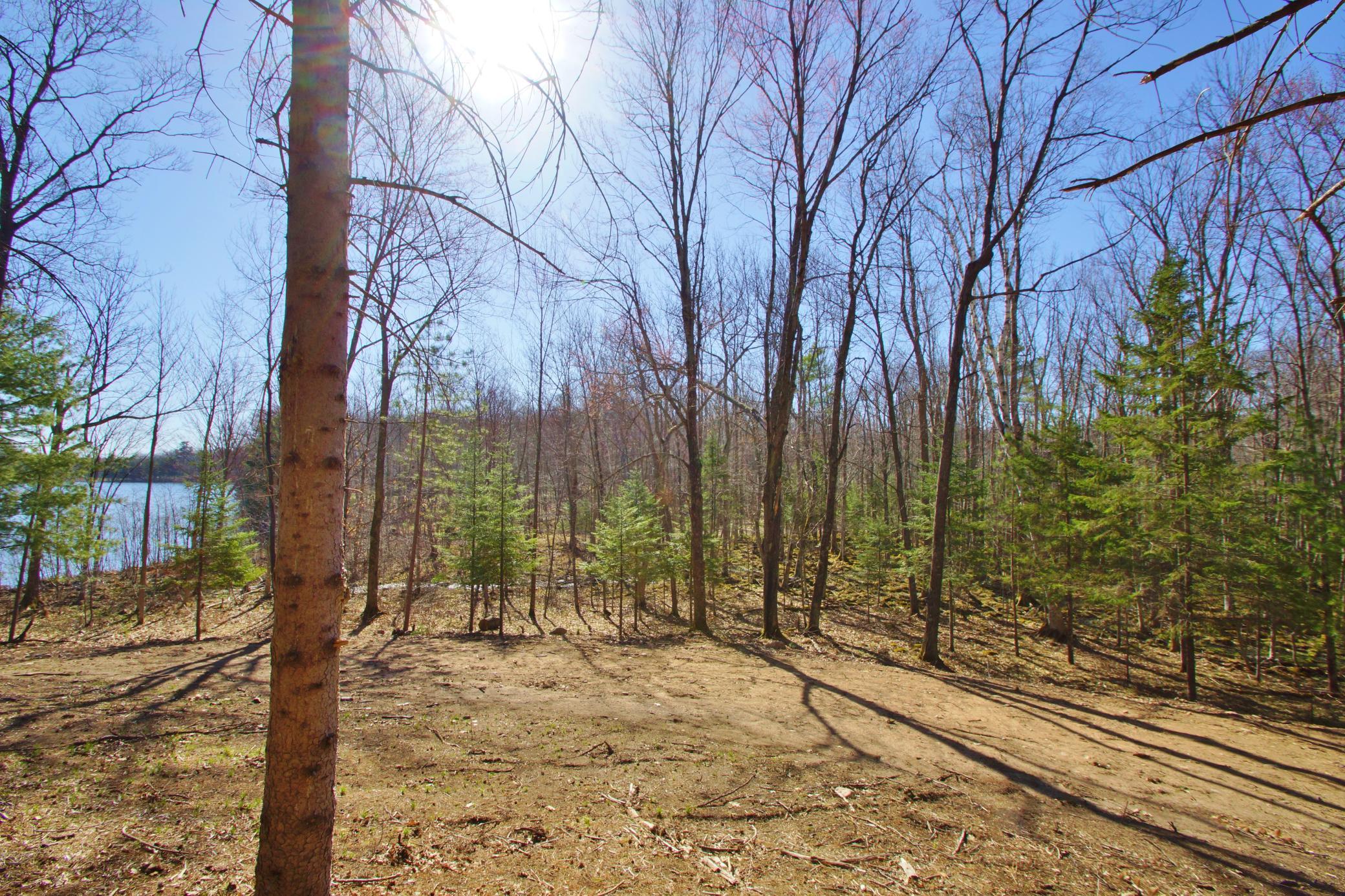 0 Ranch Road Stone Lake, WI 54876 - Photo 8 of 15