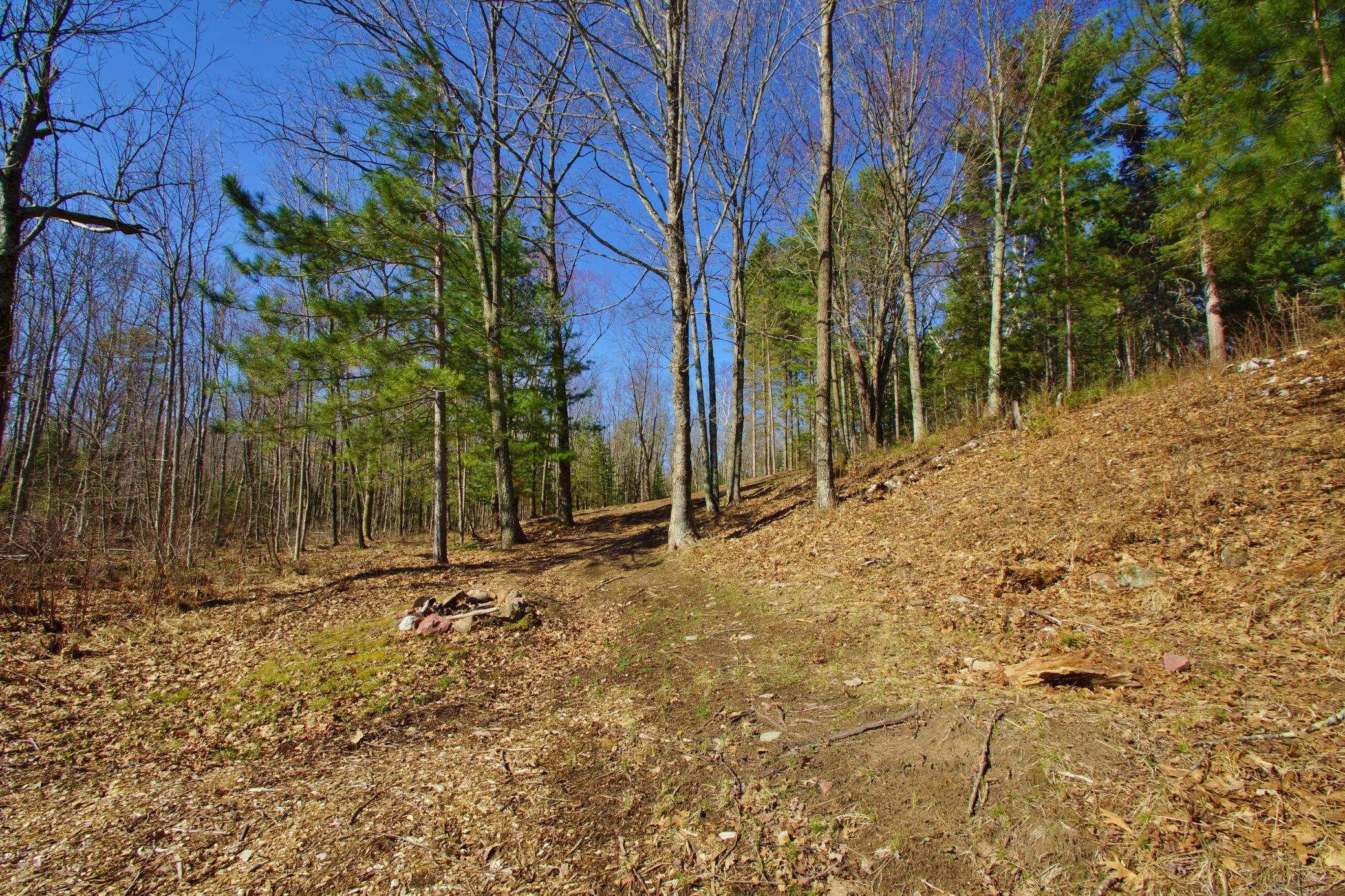 0 Ranch Road Stone Lake, WI 54876 - Photo 9 of 15