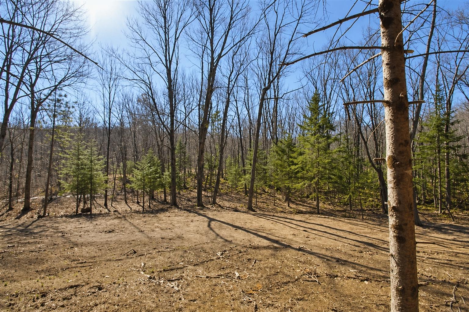 0 Ranch Road Stone Lake, WI 54876 - Photo 10 of 15