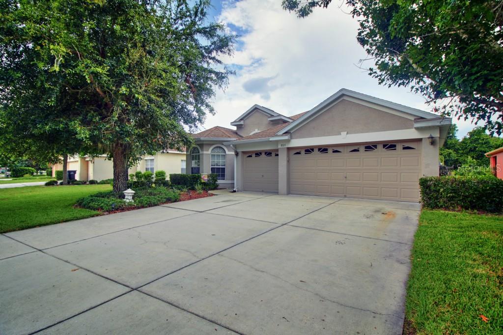 9315 Edistro Place New Port Richey, FL 34654 - Photo 1 of 1