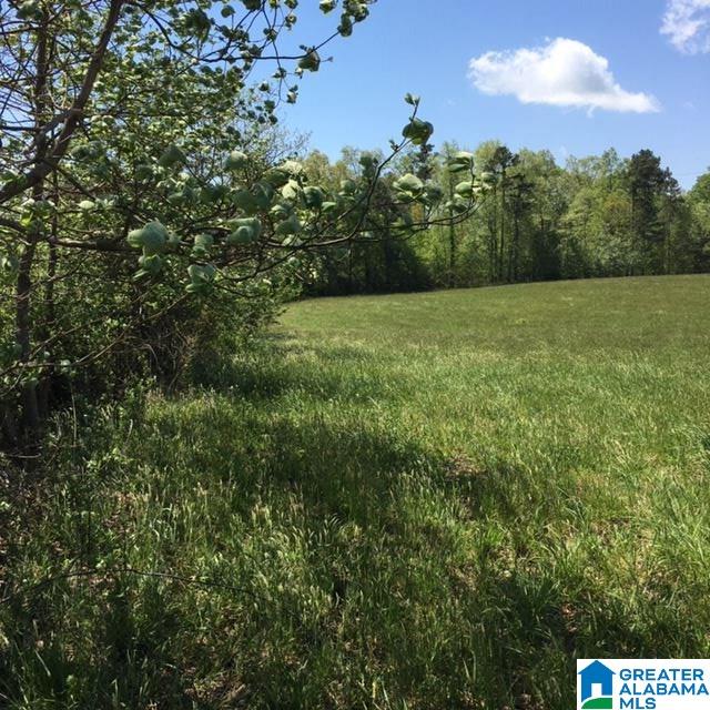 106 County Road, Unit 49836 Mentone, AL 35984 - Photo 6 of 17