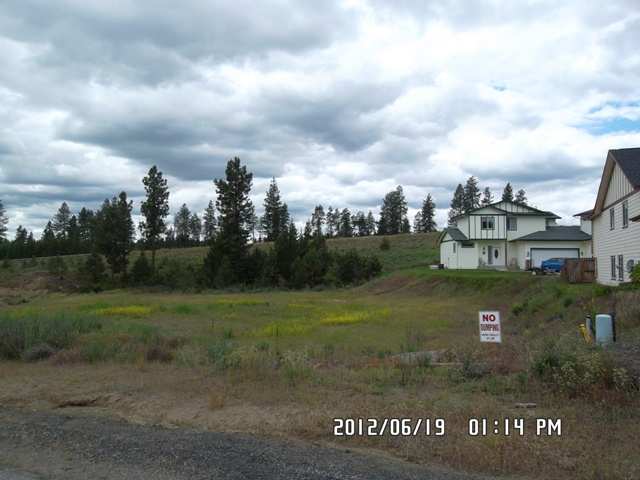 17913 North Division Road Colbert, WA 99005 - Photo 3 of 9