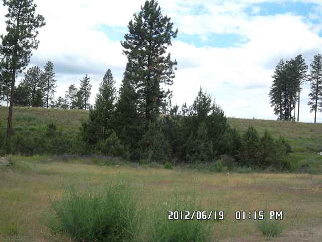 17913 North Division Road Colbert, WA 99005 - Photo 7 of 9