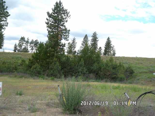 17913 North Division Road Colbert, WA 99005 - Photo 8 of 9