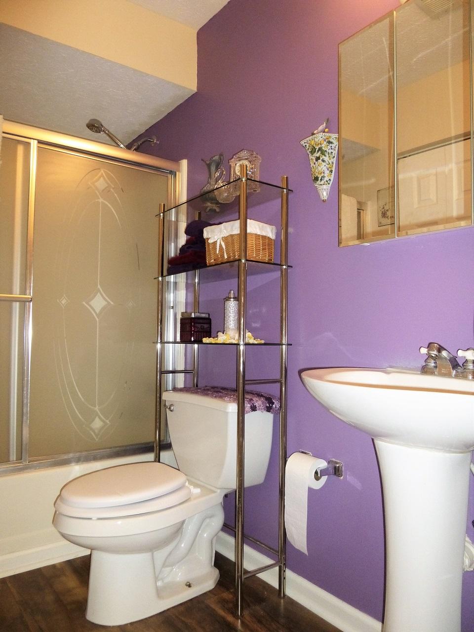 4957 Ledford Road Cosby, TN 37722 - Photo 29 of 40 Bathroom 2