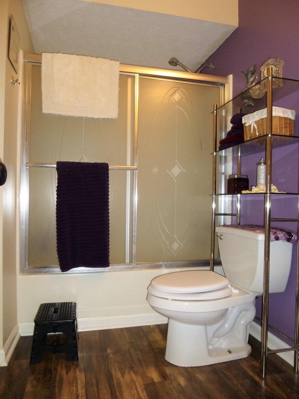 4957 Ledford Road Cosby, TN 37722 - Photo 30 of 40 Bathroom 2