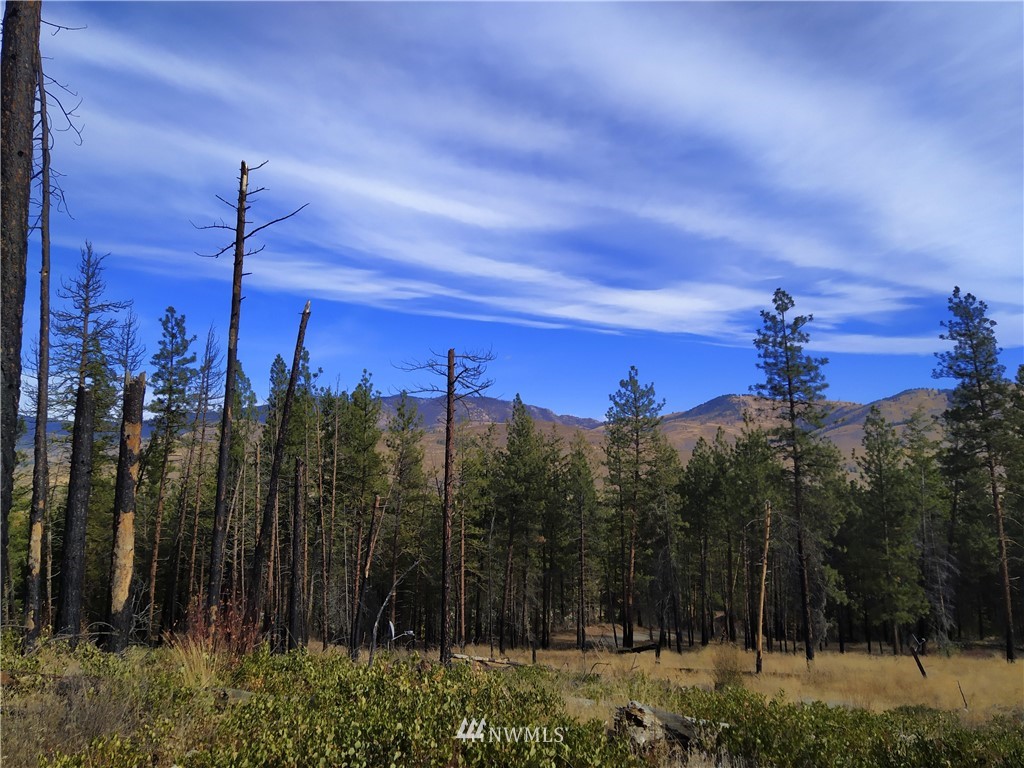 20 Rising Eagle Road Twisp, WA 98856 - Photo 11 of 19 Gallery Image 11