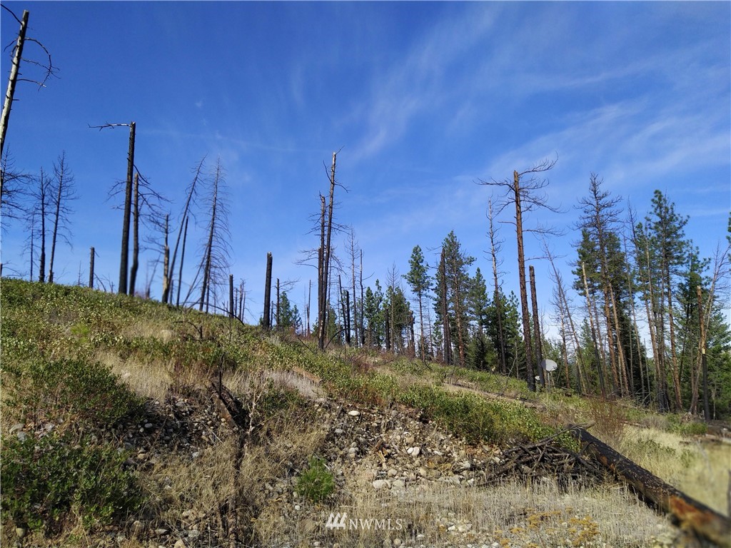 20 Rising Eagle Road Twisp, WA 98856 - Photo 12 of 19 Gallery Image 12