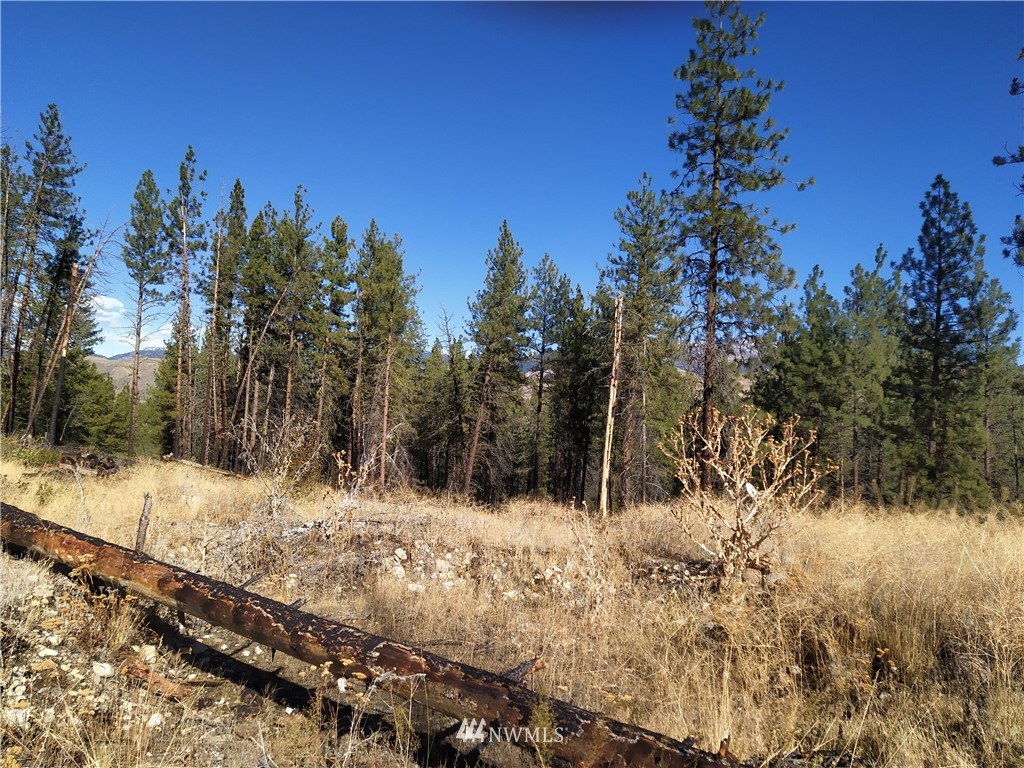 20 Rising Eagle Road Twisp, WA 98856 - Photo 14 of 19 Gallery Image 14