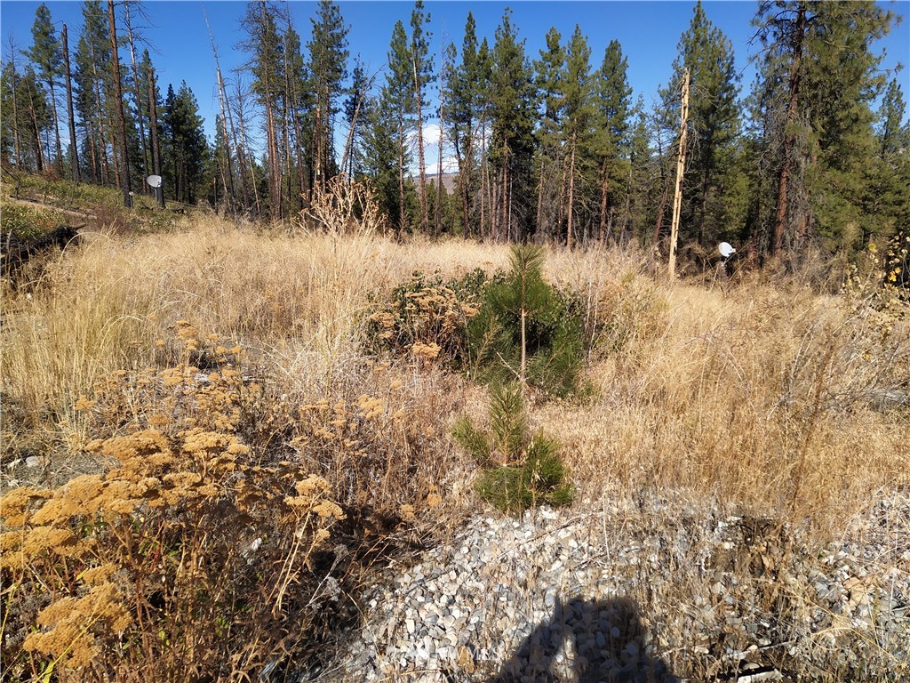 20 Rising Eagle Road Twisp, WA 98856 - Photo 15 of 19 Gallery Image 15