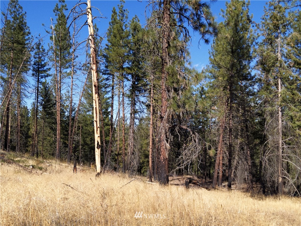 20 Rising Eagle Road Twisp, WA 98856 - Photo 16 of 19 Gallery Image 16