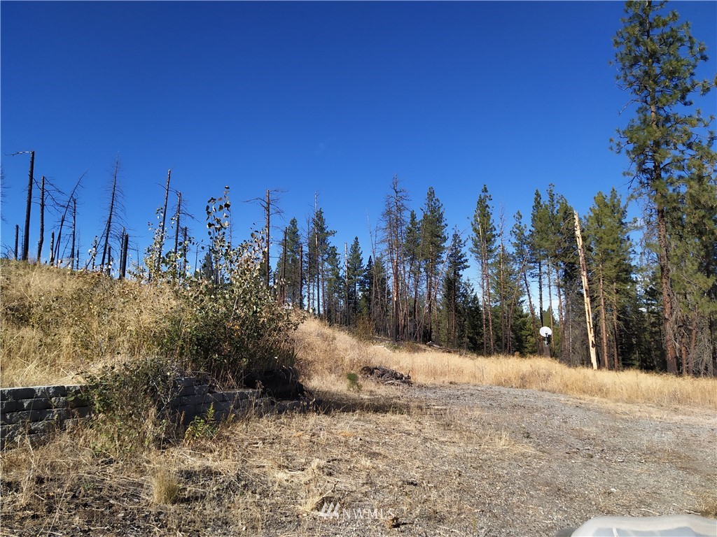 20 Rising Eagle Road Twisp, WA 98856 - Photo 17 of 19 Gallery Image 17