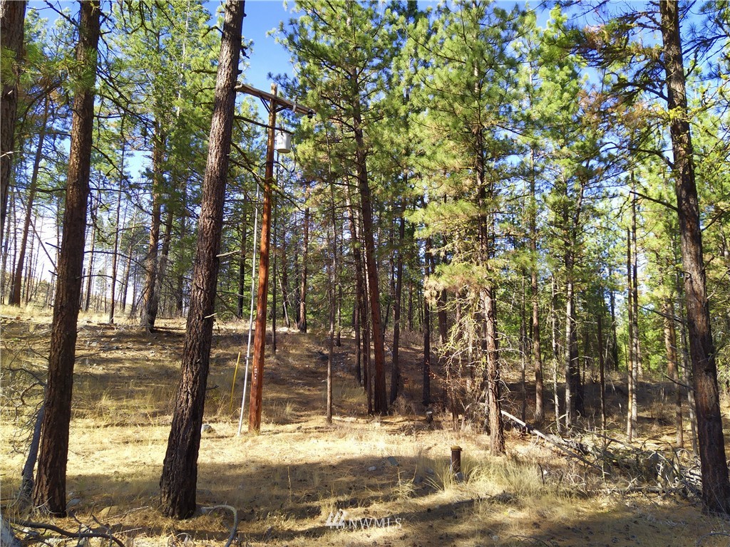 20 Rising Eagle Road Twisp, WA 98856 - Photo 9 of 19 Gallery Image 9