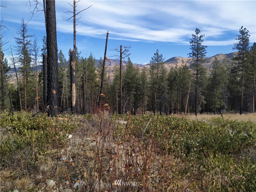 20 Rising Eagle Road Twisp, WA 98856 - Photo 10 of 19 Gallery Image 10