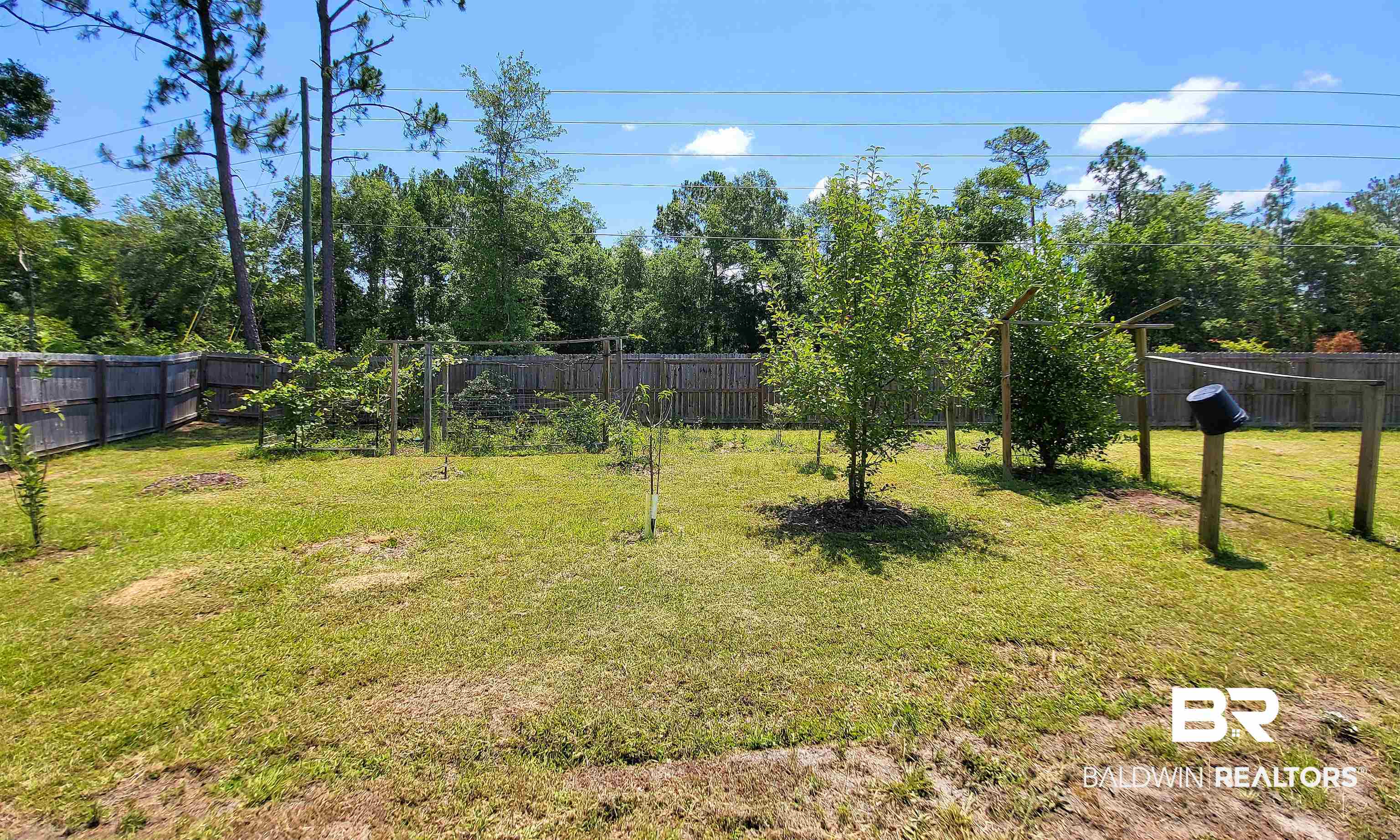10217 Lyttleton Loop Lillian, AL 36549 - Photo 11 of 35