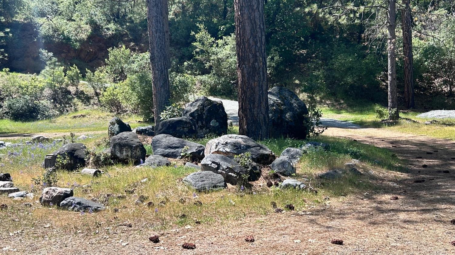 8719 Cave City Road Mountain Ranch, CA 95246 - Photo 11 of 57