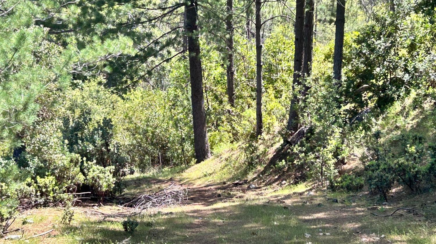 8719 Cave City Road Mountain Ranch, CA 95246 - Photo 13 of 57