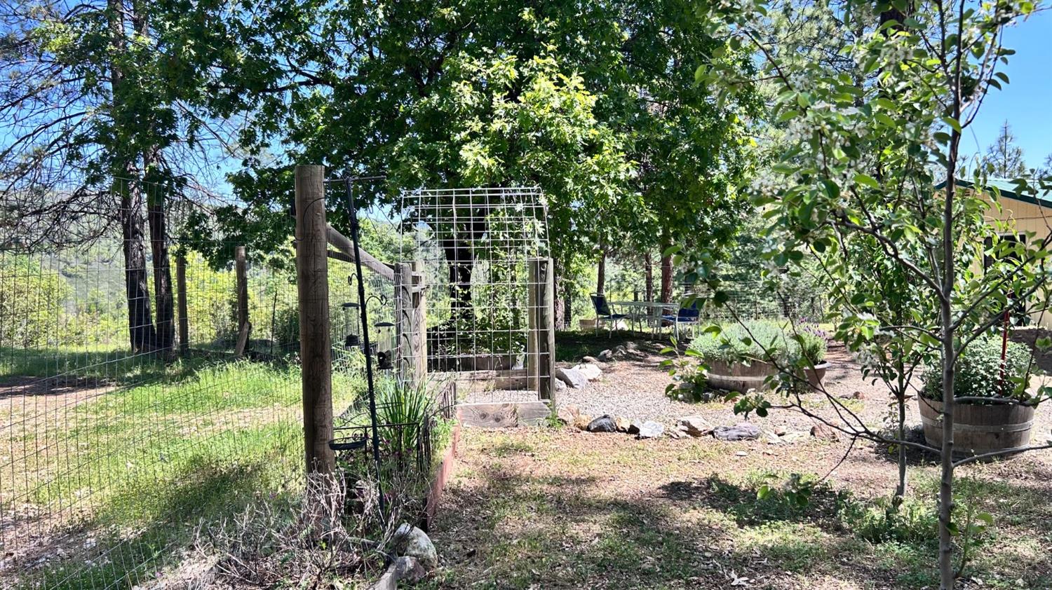 8719 Cave City Road Mountain Ranch, CA 95246 - Photo 15 of 57