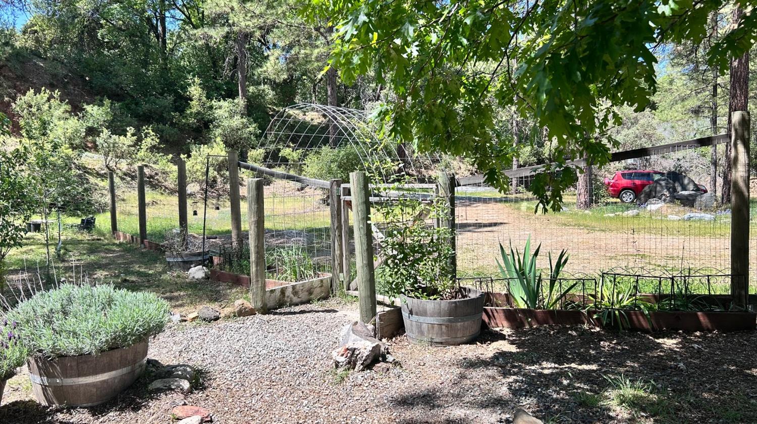 8719 Cave City Road Mountain Ranch, CA 95246 - Photo 20 of 57