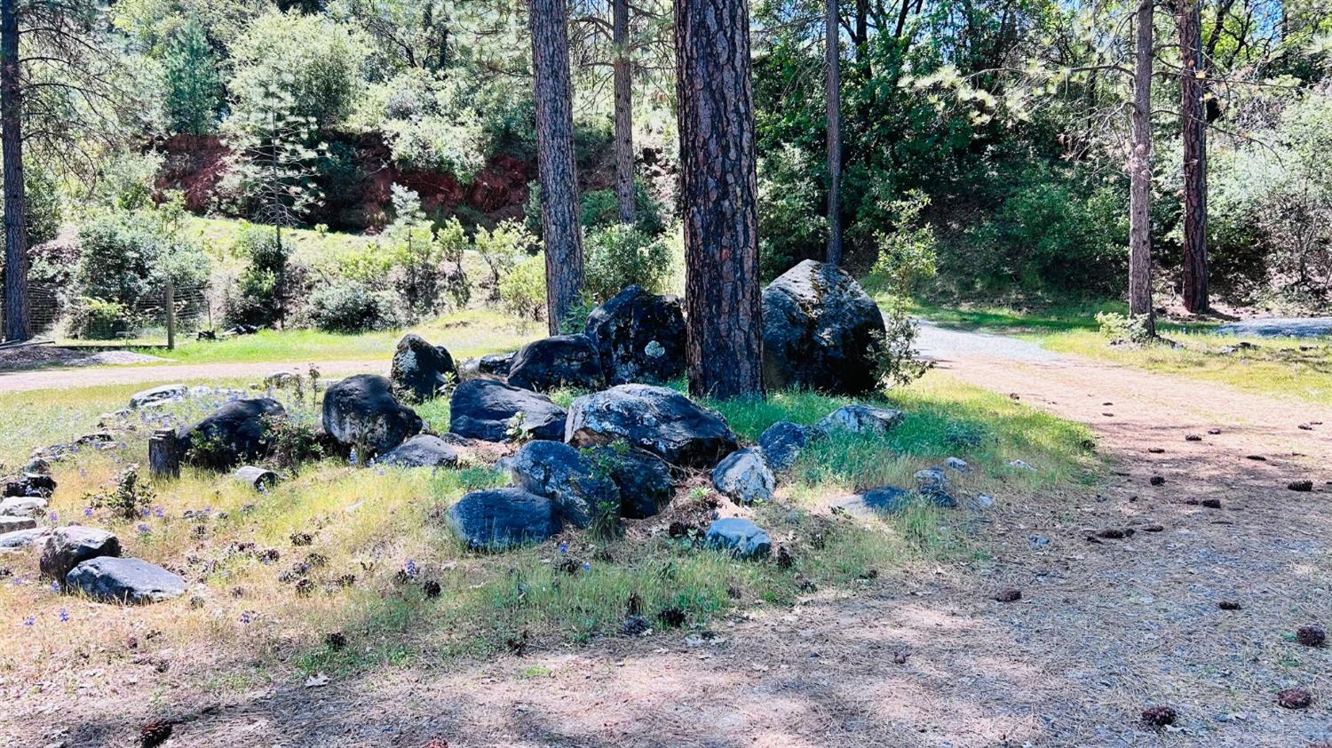 8719 Cave City Road Mountain Ranch, CA 95246 - Photo 48 of 57