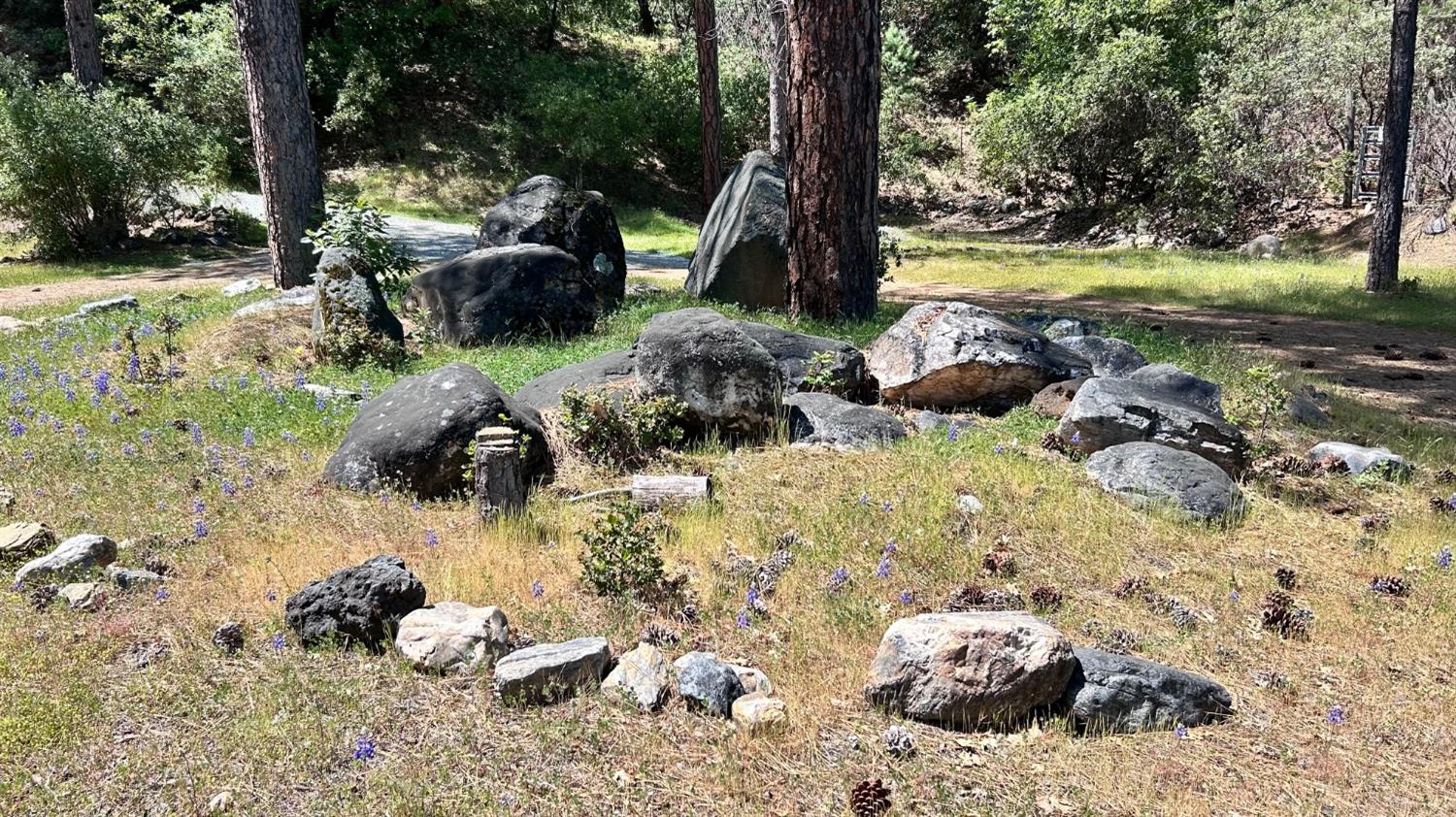 8719 Cave City Road Mountain Ranch, CA 95246 - Photo 5 of 57