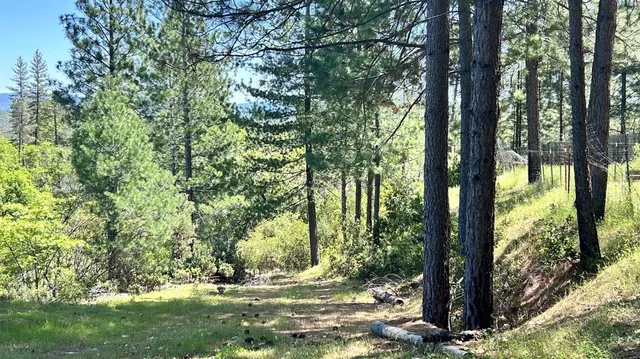 $385,000 | 8719 Cave City Road, Mountain Ranch, CA 95246