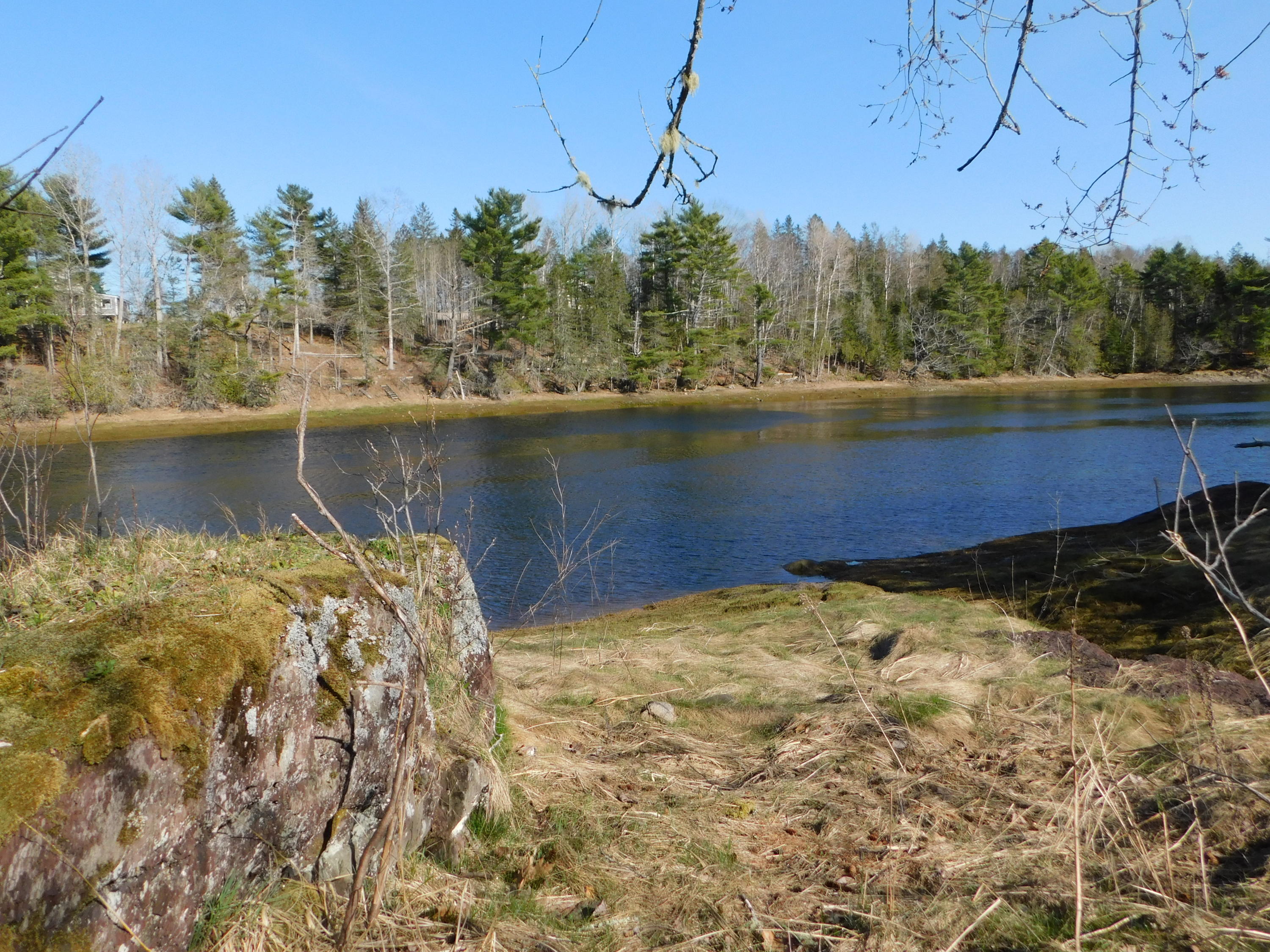 22 Crow Brook Road Pembroke, ME 04666 - Photo 16 of 28 DSCN0029