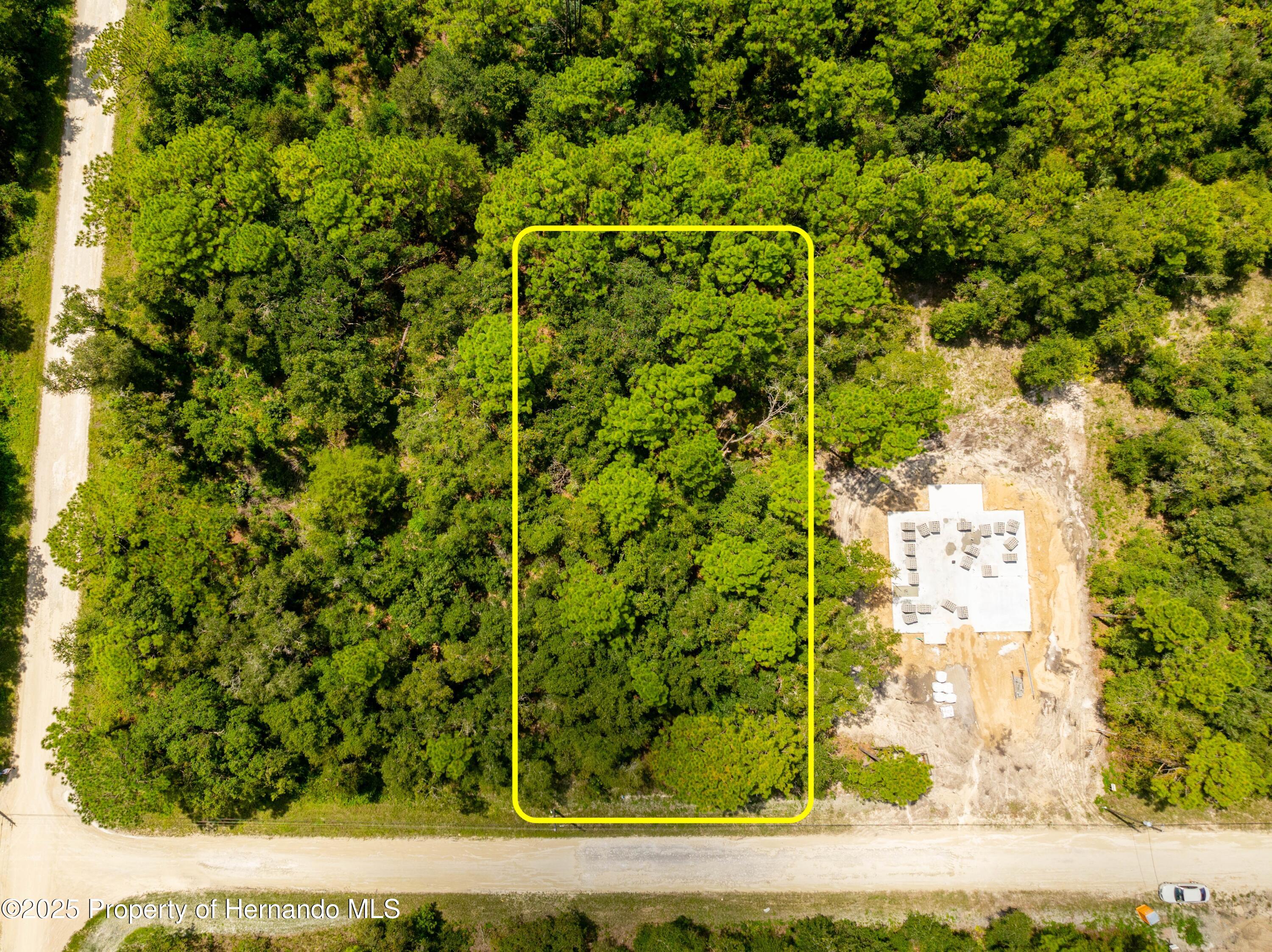13304 Canada Goose Road Weeki Wachee, FL 34614 - Photo 1 of 13