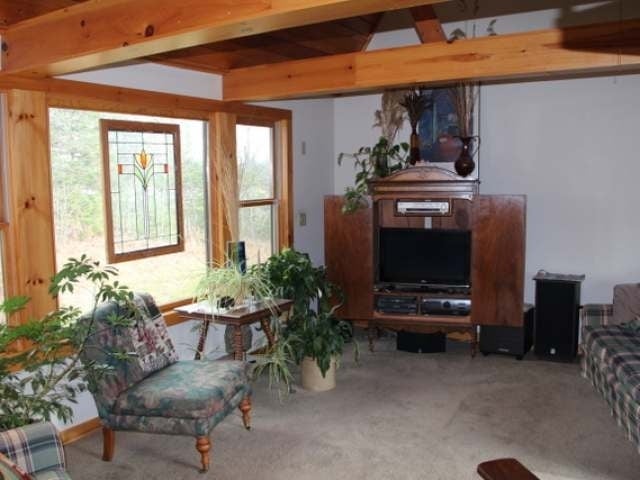 73549 Long Lake Boat Landing Road Mellen, WI 54546 - Photo 11 of 20 Gallery Image 11