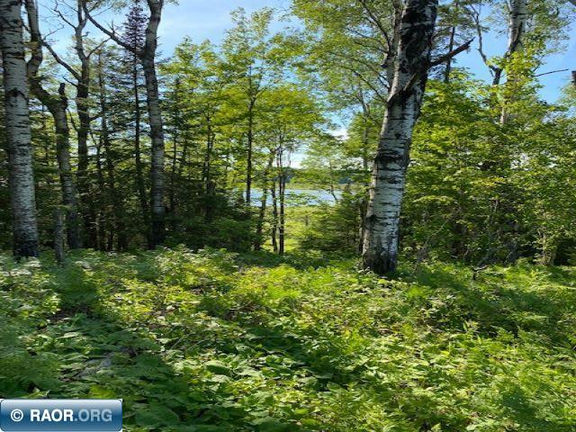 Tbd Tbd Shaw Road Hibbing, MN 55746 - Photo 1 of 9