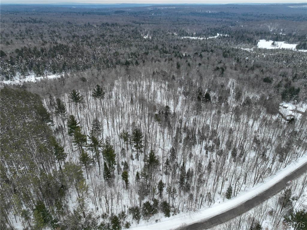 Lot#2 Roberts Road Remsen, NY 13438 - Photo 16 of 27
