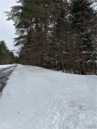 $94,500 | Lot#2 Roberts Road, Remsen, NY 13438