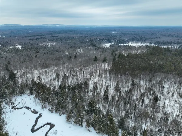 $94,500 | Lot#2 Roberts Road, Remsen, NY 13438