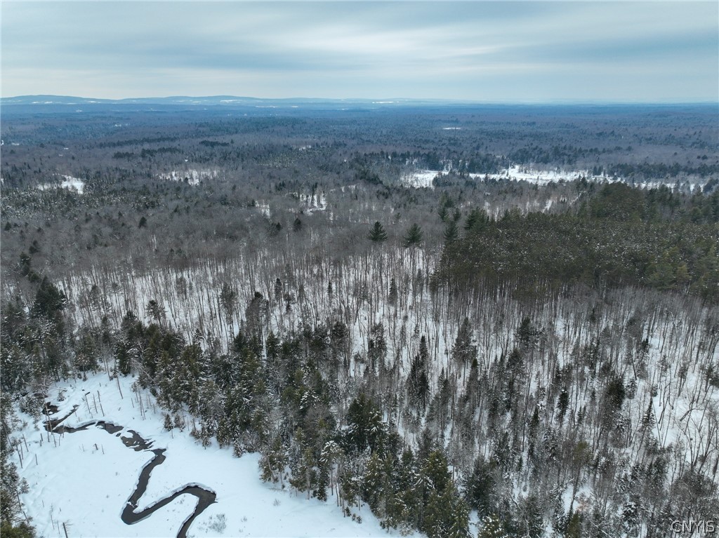Lot#2 Roberts Road Remsen, NY 13438 - Photo 25 of 27