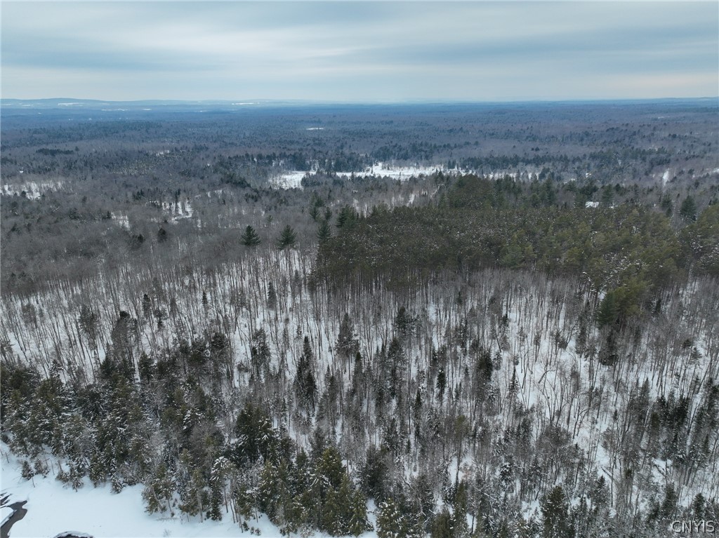Lot#2 Roberts Road Remsen, NY 13438 - Photo 27 of 27