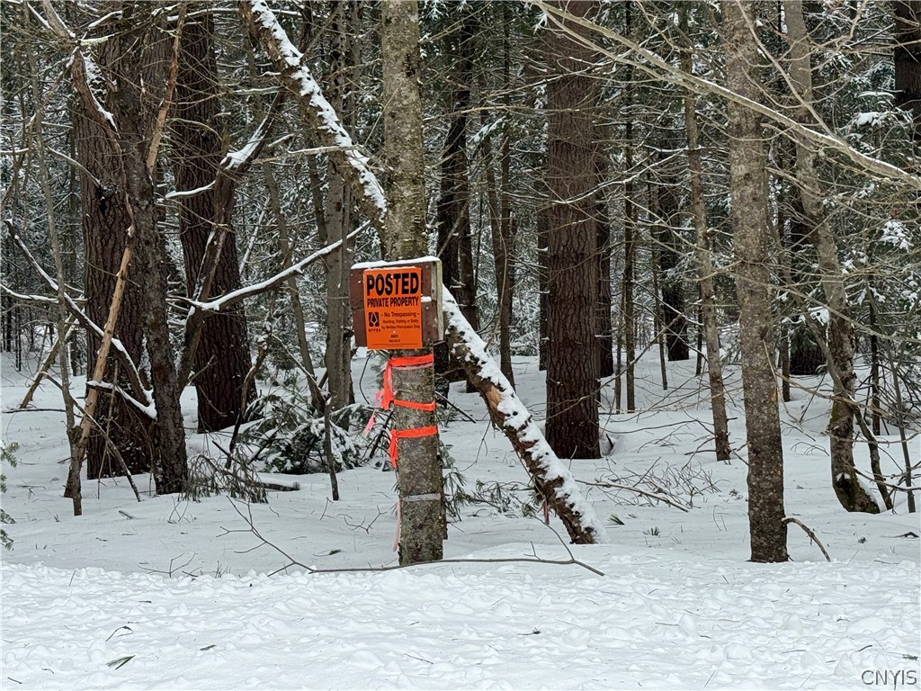 Lot#2 Roberts Road Remsen, NY 13438 - Photo 3 of 27