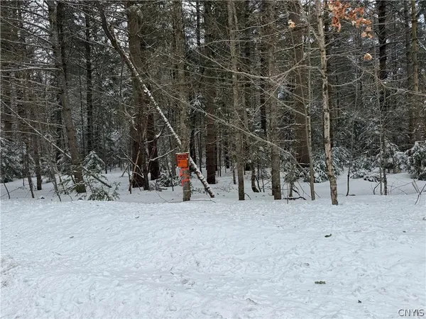 $94,500 | Lot#2 Roberts Road, Remsen, NY 13438