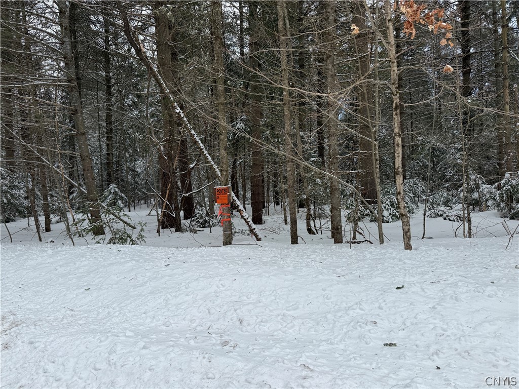 Lot#2 Roberts Road Remsen, NY 13438 - Photo 4 of 27