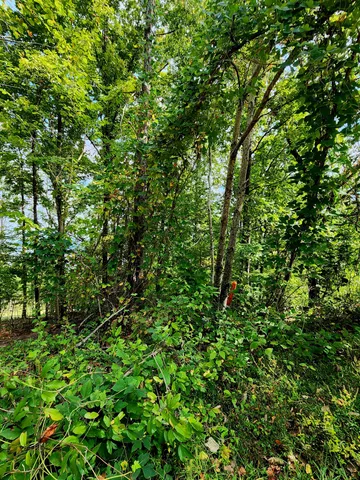 $75,000 | 0 Browbend Drive, Unit 7, Guild, TN 37340