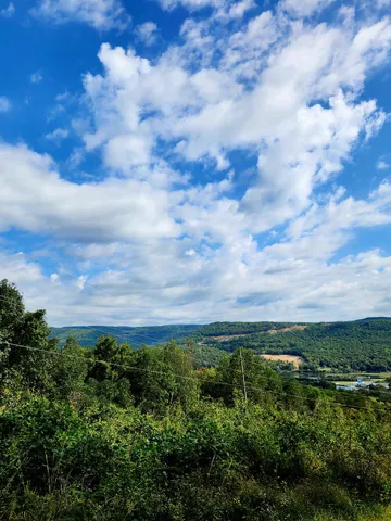 $75,000 | 0 Browbend Drive, Unit 7, Guild, TN 37340